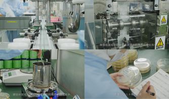 櫻花約定，匠心傳承 日本娜麗絲衛(wèi)生用品的前世今生